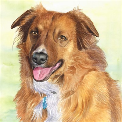 Hand Painted Watercolor Portrait of A Dark Brown Dog, by myDaVinci - myDaVinci